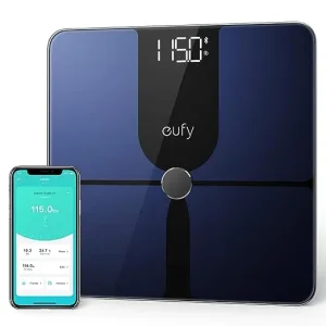 61XwQl36opL. SX522 .jpg